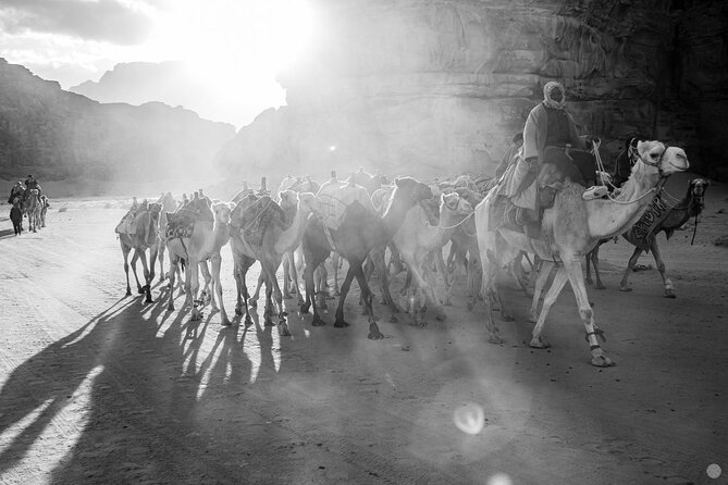 02 Days Petra , Wadi Rum and Dead Sea from Amman - Wadi Rum Village and the morning desert views