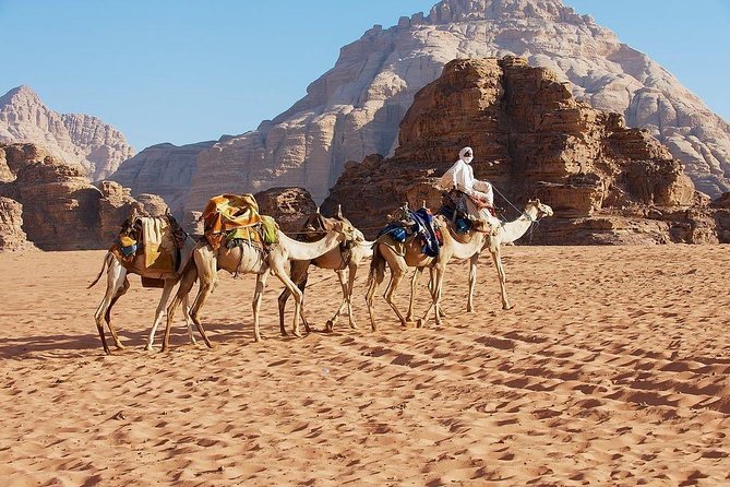 2 Day 1 Night Wadi Rum (Overnight) & Petra Shore Excursion - Guides, drivers, and the human side