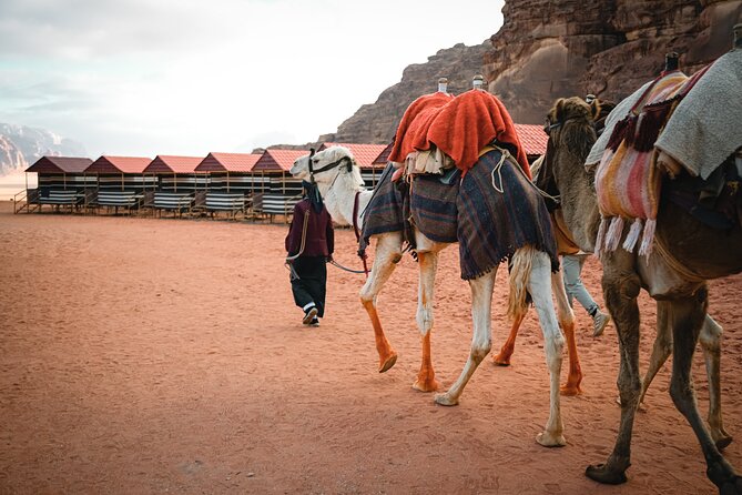 2-Day Jordan Guided Tour Petra, Wadi Rum and Dead Sea - Entering Petra through the Siq