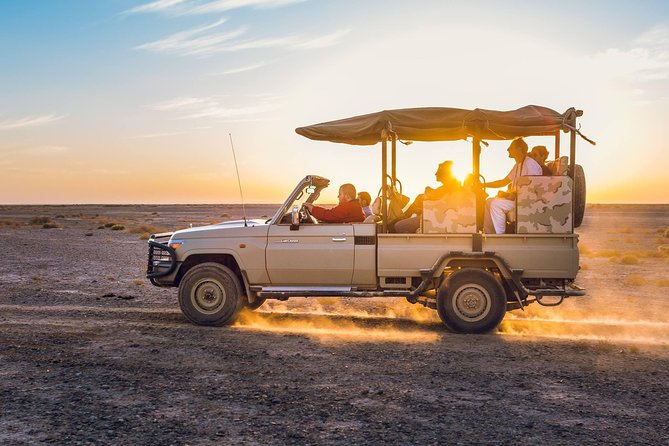 2-Day Private Tours in Jordan: Petra, Wadi Rum, and Dead Sea from Amman - Who will enjoy this tour most