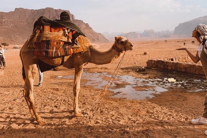 2 Hour Jeep Tour - Wadi Rum Desert & Canyon - Lawrence’s Spring, a short scramble with a big view