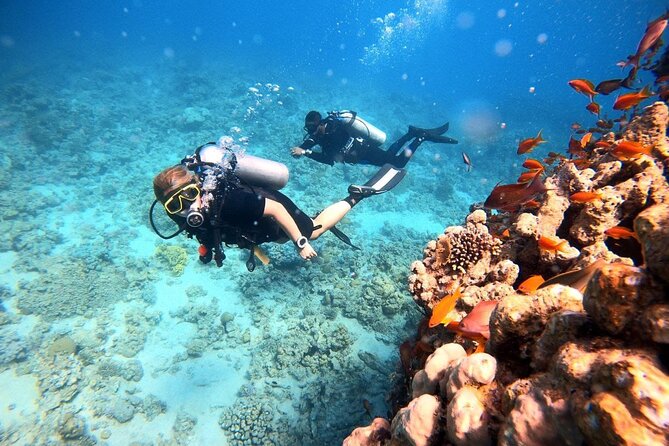 2-Hour Private Scuba Experience in Aqaba - Photos and videos make a useful souvenir