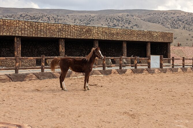 2 Hour Trail Ride to Little Petra-Morning or Sunset - Riding the backroads toward Little Petra
