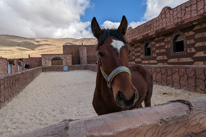 2 Hour Trail Ride to Little Petra-Morning or Sunset - Nabatean water channels and carved steps