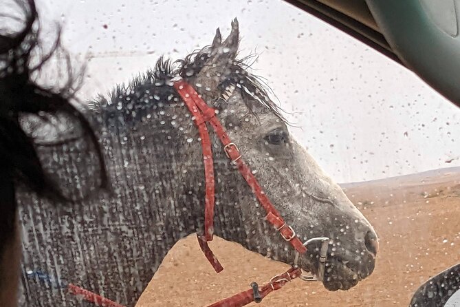 2 Hour Trail Ride to Little Petra-Morning or Sunset - Morning light or a sunset departure