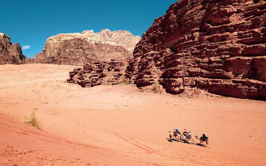 2 Nights in Petra: A 4 Day tour of Desert, Dead & Red Seas - Amman’s Citadel begins the Jordan story
