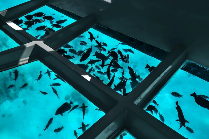 2 To 5 Hours Glass Bottom Boat Private Tour At Read Sea - Seeing Aqaba’s Red Sea Through Glass