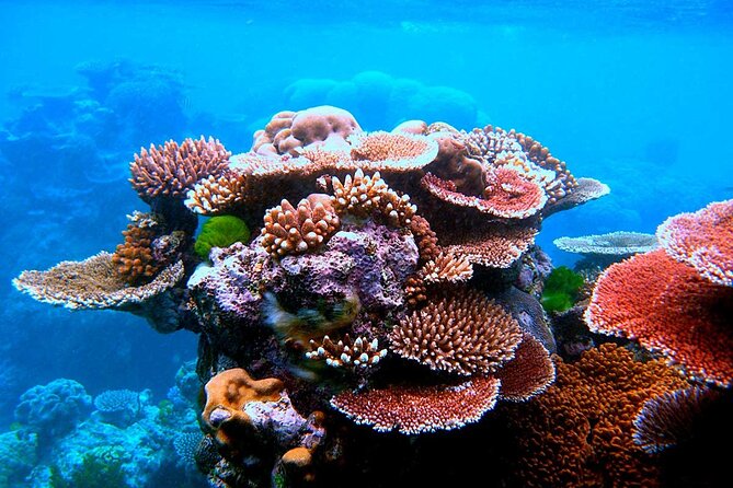 2 To 5 Hours Glass Bottom Boat Private Tour At Read Sea - What Happens During the Private Cruise