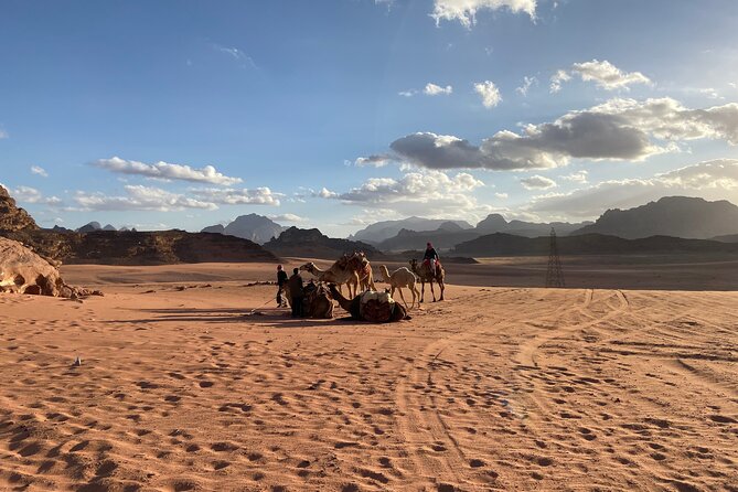 3-Day Group Tour to Petra, Wadi Rum and northern Jordan from Amman/Dead Sea - Day two: Petra with a guide, then time to roam