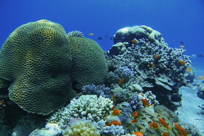 3-Day Open Water Scuba Diving Course in Aqaba - What the three days are really for