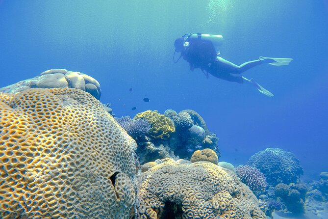 3-Day Open Water Scuba Diving Course in Aqaba - Equipment, safety, and group size