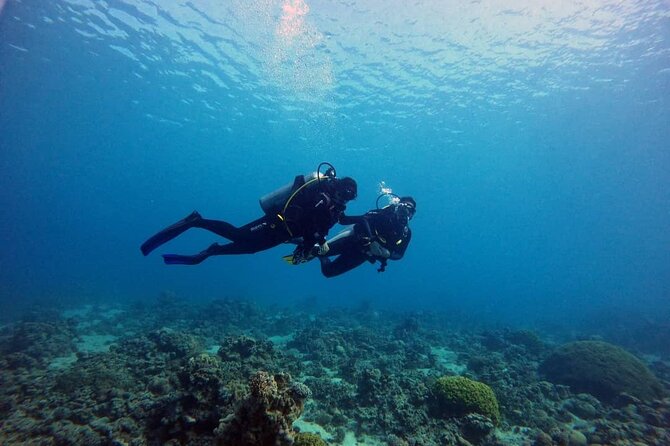 3-Day Open Water Scuba Diving Course in Aqaba - Is $500 a fair price?