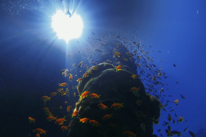 3-Day Open Water Scuba Diving Course in Aqaba - Weather, cancellations, and sensible planning