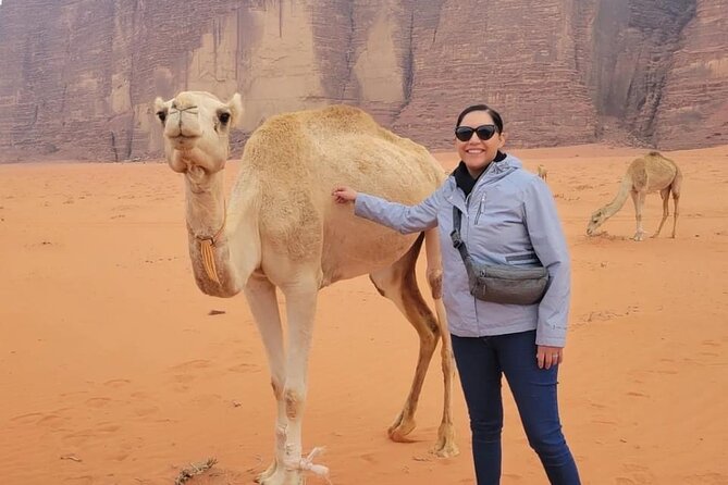 3-Day Tour from Amman: Jerash, Ajloun, Petra, Wadi Rum & Dead SEA - Day three: Floating at the Dead Sea