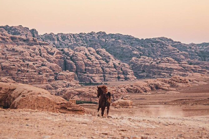 3 Hour Horse Riding Adventure around the Petra Area - Siq Al Barid and the mountain route