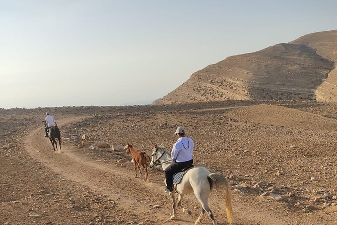 3 Hour Horse Riding Adventure around the Petra Area - What the $145 price really covers