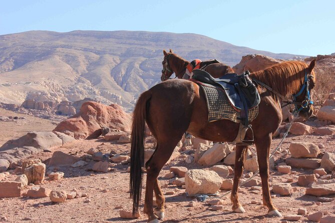 3 Hour Horse Riding Adventure around the Petra Area - Siq Ghrab and the Neolithic village