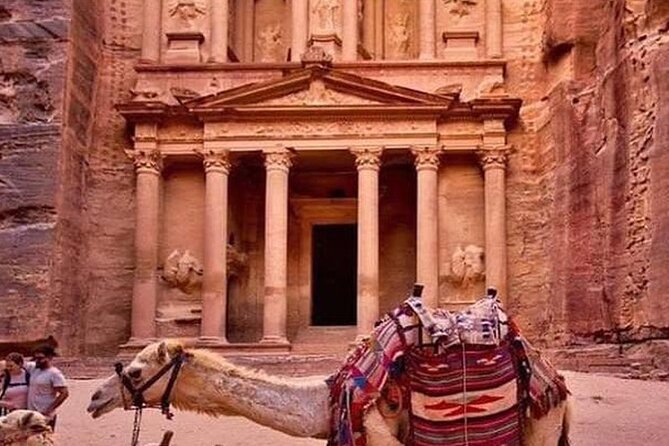 3Days Tour Petra & Wadi Rum from Amman, Dead Sea OR Amman Airport - Day 3: Sunrise and the long return