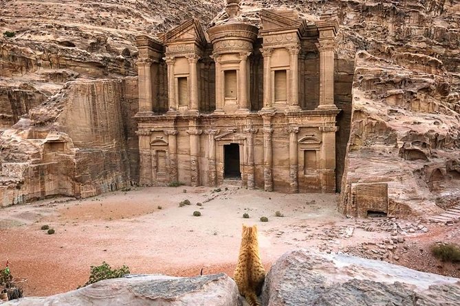 3Days Tour Petra & Wadi Rum from Amman, Dead Sea OR Amman Airport - Who should book this Jordan tour