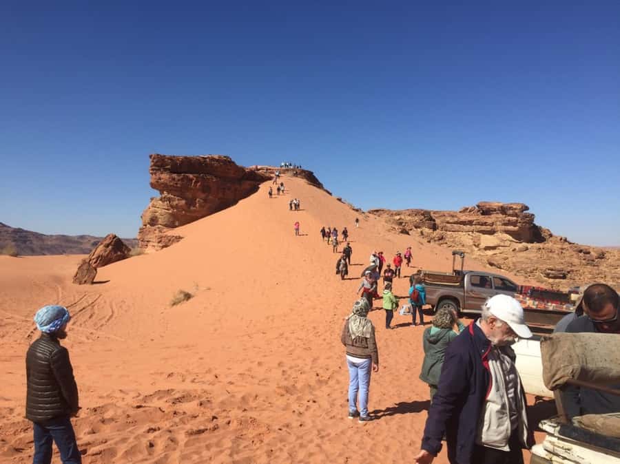 4Hour Jeep Tour (Morning or Sunset) Wadi Rum Desert Highligh - Morning or sunset: choose by your priorities