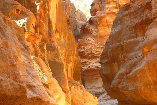 5-Day Private Jordan Tour: Petra, Wadi Rum and the Dead Sea from Amman - The private vehicle and guide setup