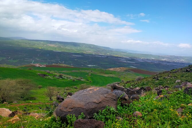 5 Days best of Jordan (Private customized tour) - Who should book this private Jordan tour?
