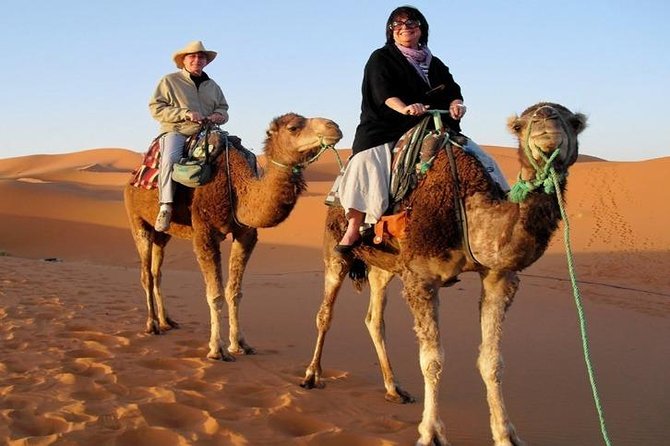 7-Day Private Tour, Explore Jordan's Glamour - Who will enjoy this Jordan itinerary most