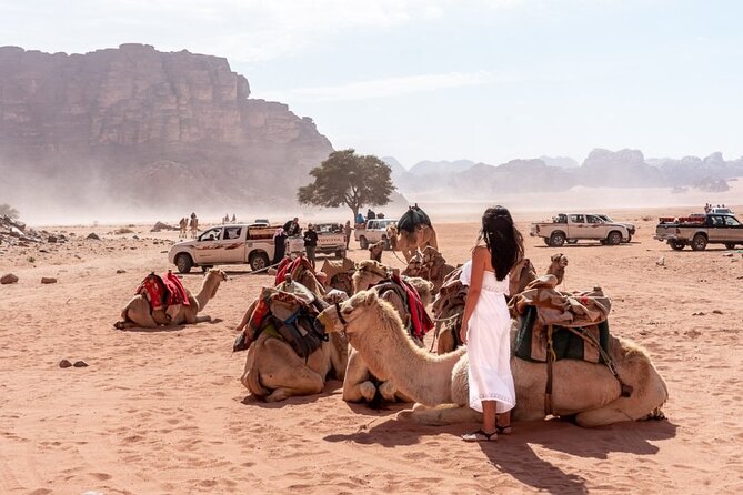 7-Day Super Luxury Tour By Toyota Land Cruiser - Six hours at Petra on day five