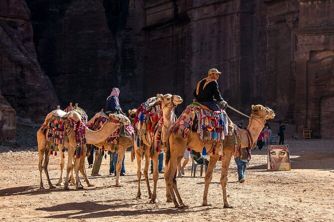 7 Days Jordan Sightseeing Tour - Key points to know before booking