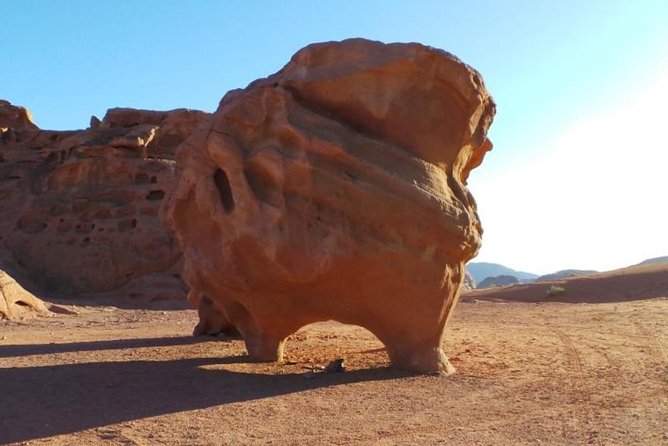 8-Day Private Tour, Jordan's Ability - Customizable - Aqaba gives you a needed pause
