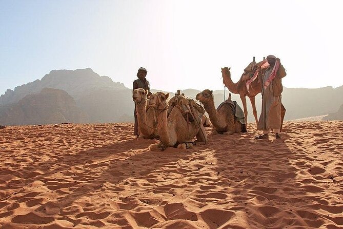 8 Days Jordan Tour: Petra, Wadi Rum, Aqaba - The camel ride and Aqaba’s blue water