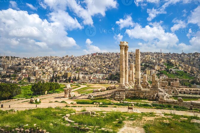 Amman city tour & Desert castles sightseeing - What the private driver does well
