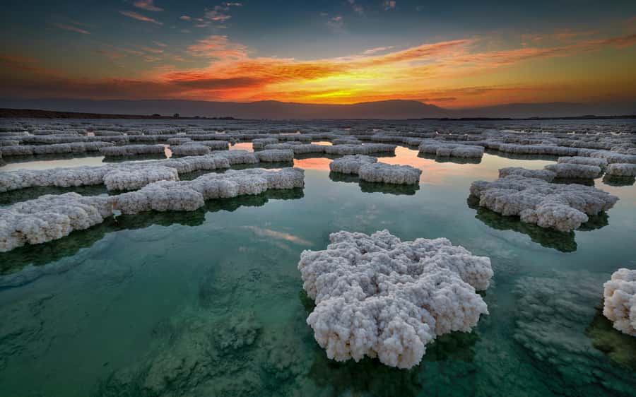 Amman: Day Trip to Madaba, Mt. Nebo, Baptism Site & Dead Sea - The drivers make or break the experience