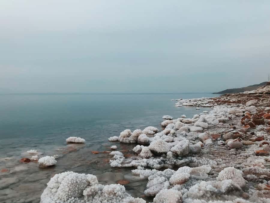 Amman: Ma'in Hot Springs and Dead Sea Day Trip - Is $117 good value?