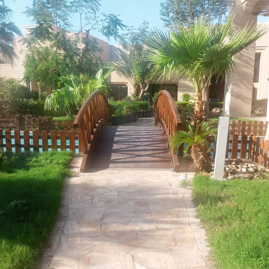 Amman: To Ma'daba -Mount Nebo-Baptism site-Dead sea Day Trip - The Dead Sea: floating time with extra costs