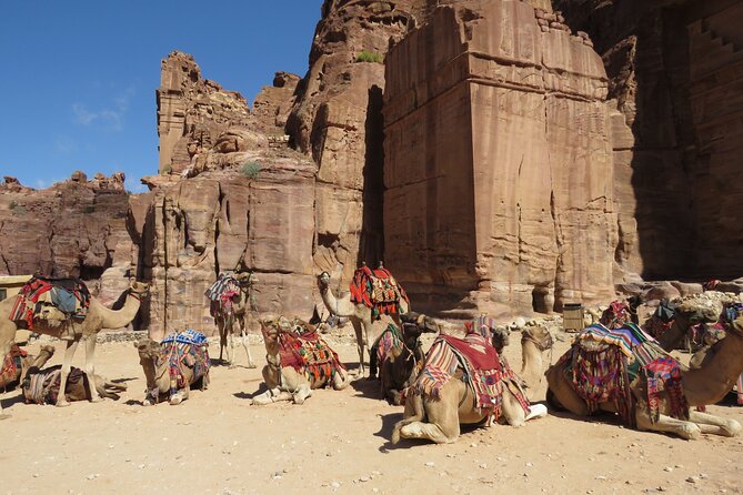 Amman to Petra round trip - Is $127 per person good value?