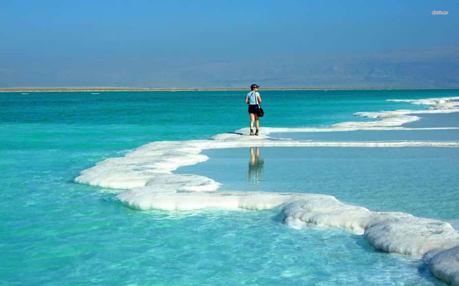 Amman to Petra Wadi Rum Dead Sea 2 or 3 Days Private Tour - Is $325 per person good value?