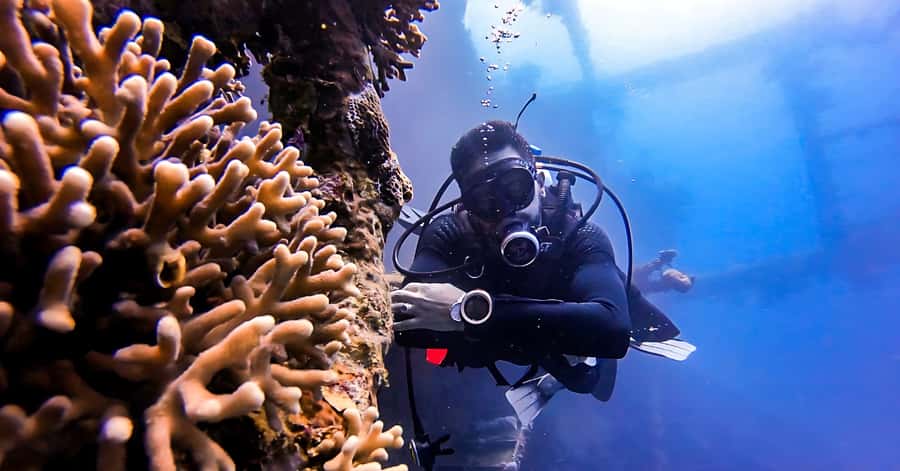 Aqaba Dive Adventure: Explore The Red Sea On A Tour - Key points to know before booking