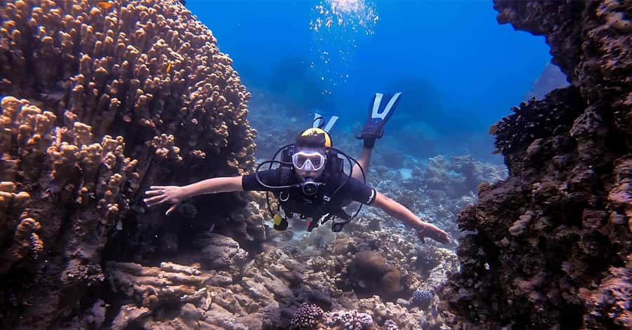 Aqaba Dive Adventure: Explore The Red Sea On A Tour - Why Aqaba is a good place for a first scuba experience