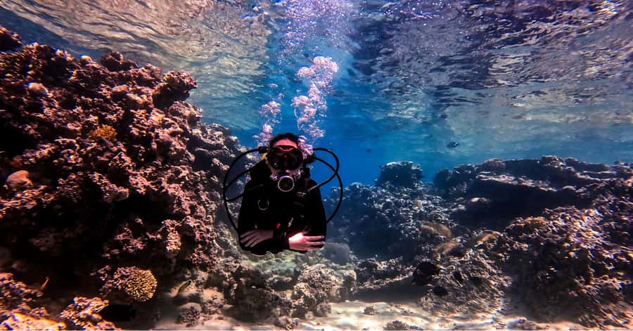 Aqaba Dive Adventure: Explore The Red Sea On A Tour - What $51 per person really covers