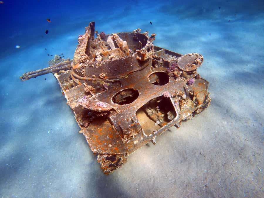 Aqaba: Private Red Sea Diving for Beginner or Experienced - Why this Aqaba outing works for beginners