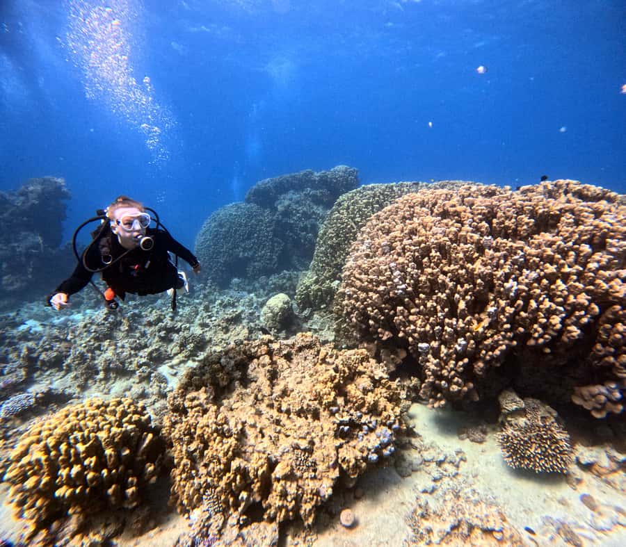 Aqaba: Private Red Sea Diving for Beginner or Experienced - What you see from the Aqaba shoreline