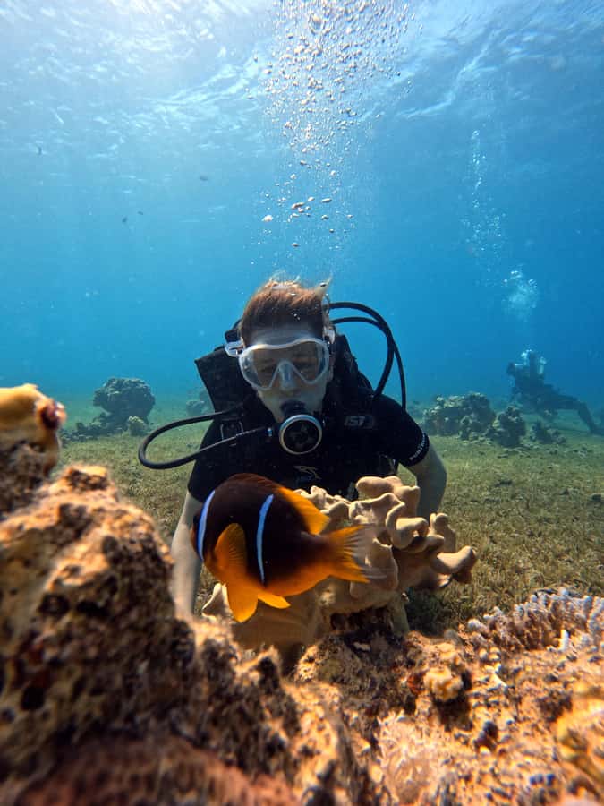 Aqaba: Private Red Sea Diving for Beginner or Experienced - A realistic look at the two-hour schedule