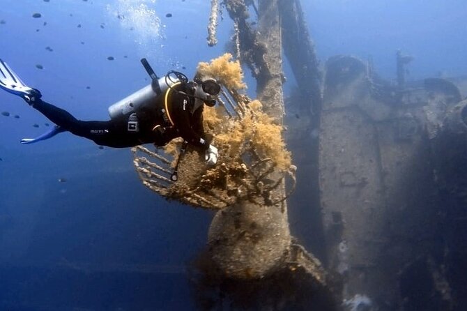 Aqaba Private Scuba Diving Activity with Pick Up - A realistic three-hour schedule