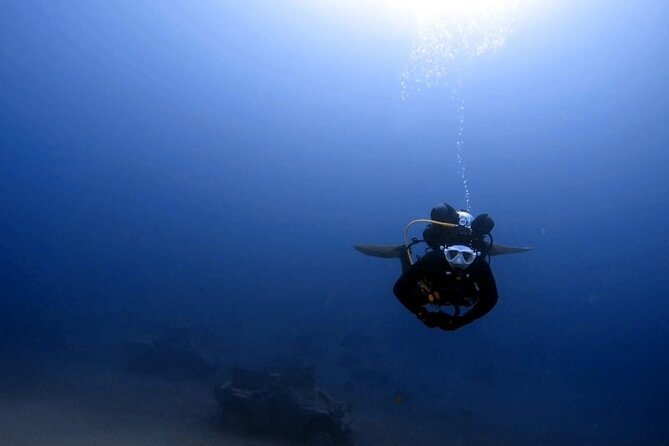 Aqaba Private Scuba Diving Activity with Pick Up - Why beginners may feel at ease