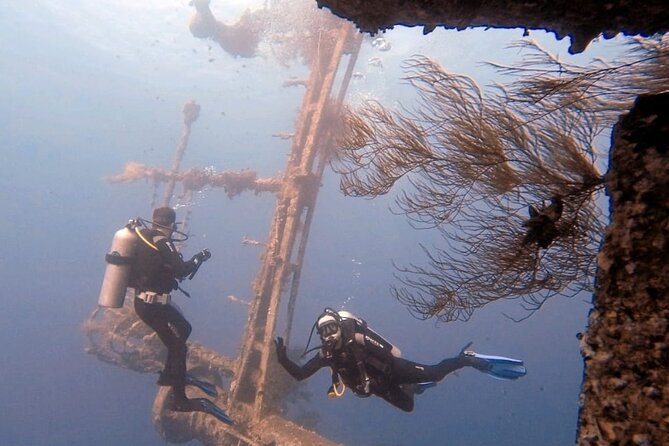 Aqaba Private Scuba Diving Activity with Pick Up - Choosing between wrecks, reefs, and military relics