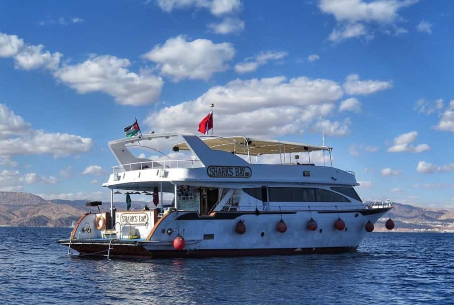 Aqaba: Red Sea Snorkeling Boat Trip with Buffet Lunch - Coral gardens, wrecks, turtles, and seasonal sightings