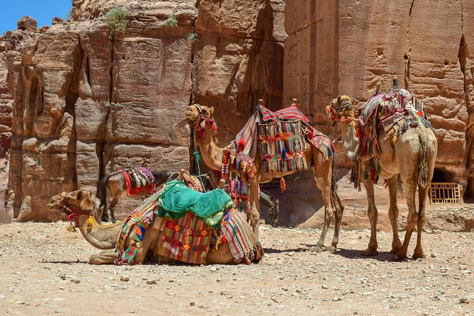 Aqaba Shore Excursion: Private Petra Sightseeing Tour with Lunch - Port pickup and the road to Petra