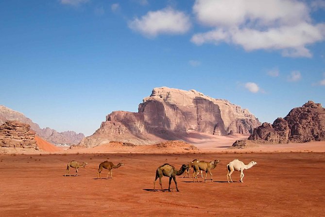 Best of Jordan Tour Amman Petra and Dead Sea with Camping at Wadi Rum - Day four: a night under the stars at Wadi Rum