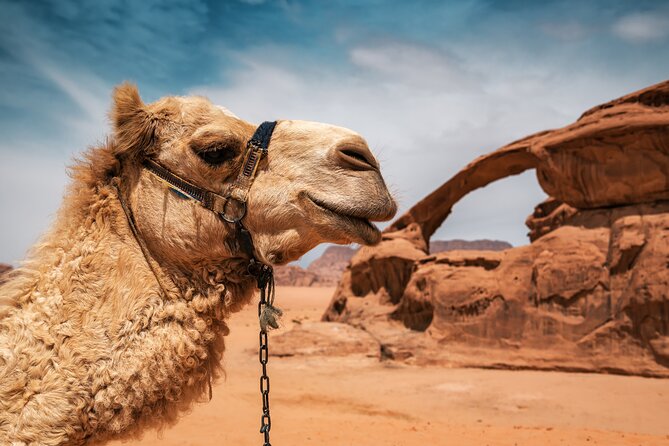 Best of Wadi Rum | Full day Jeep tour + Sleep under the stars | Pack all-in - Red Sand Dunes and the wide desert views
